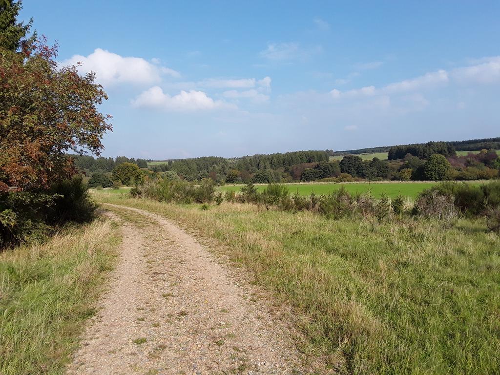 Poehl Am Nationalpark Eifel Apartment Schleiden Ngoại thất bức ảnh